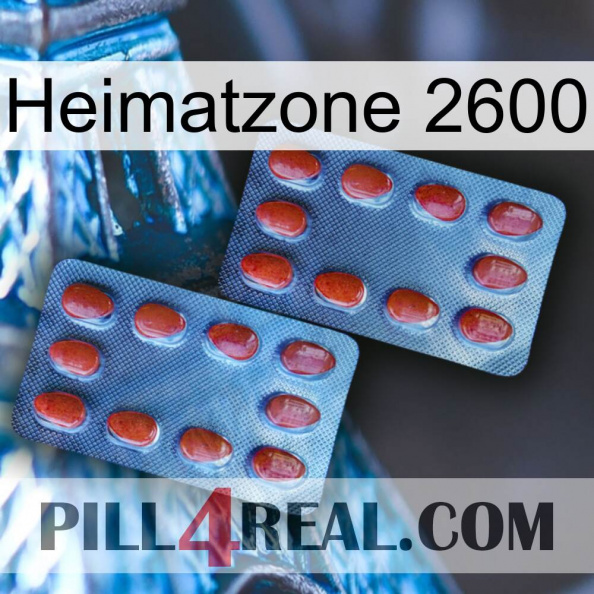 Home Zone 2600 05.jpg